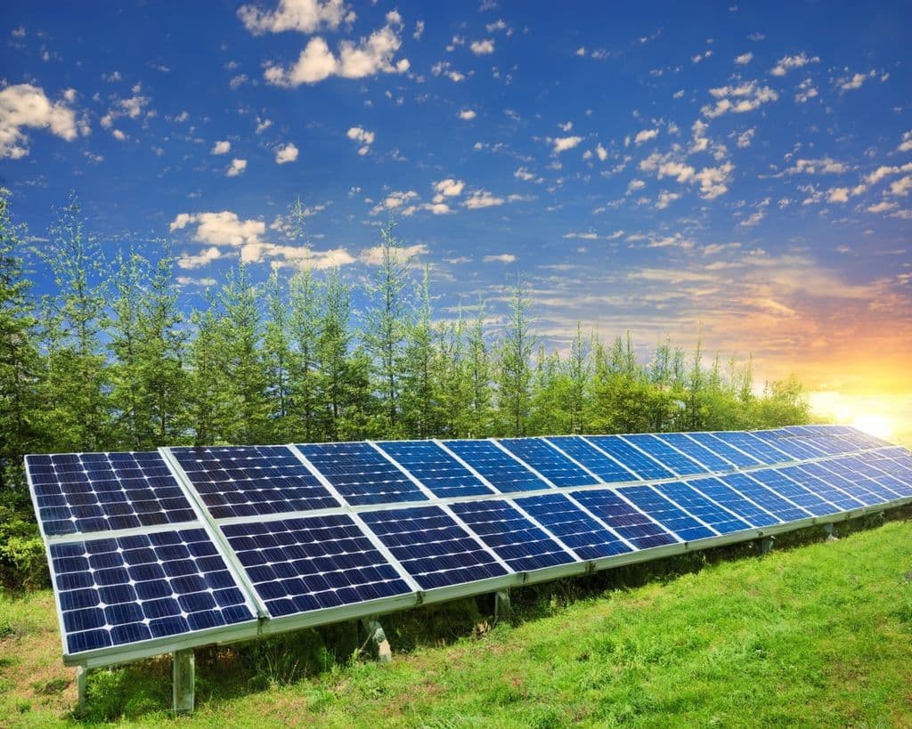 Professional Waaree solar installation
